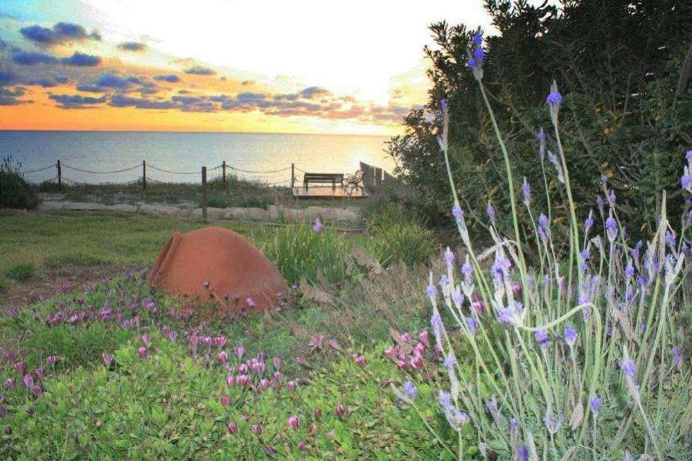 Blue Coral Beach Villas Paphos Exterior foto